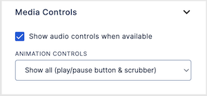 media_controls_nov22.png