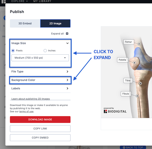 publish_2D_expandable_categories_nov22.png