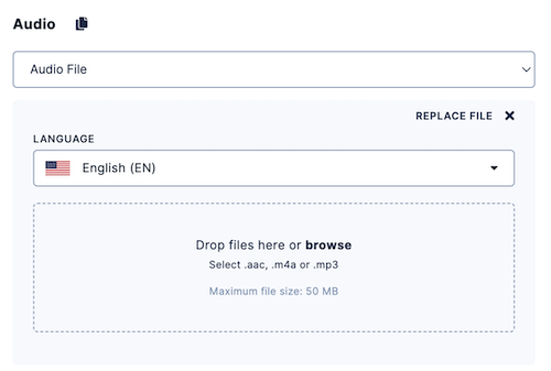 audio_upload_file_nov22.png