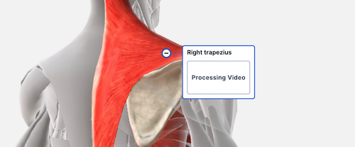 upload_video_label_processing_video_message_on_model_apr23.png