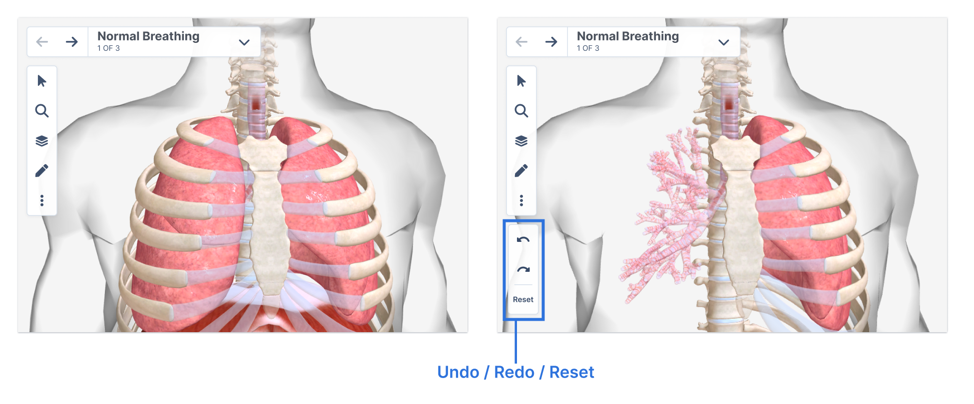 Undo_Redo_Reset_may23.png