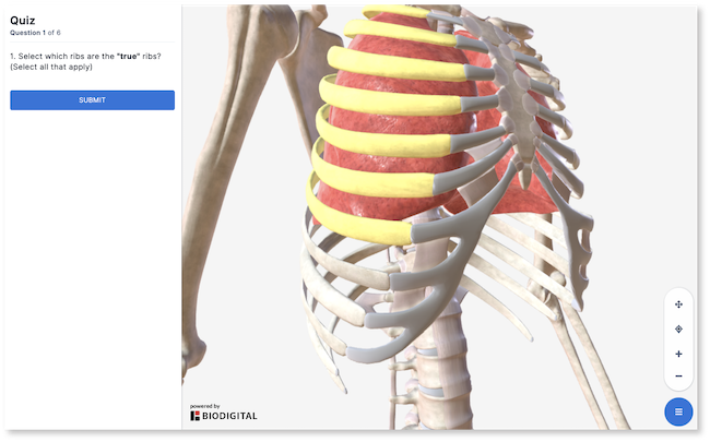 header_quiz_builder_may21.png