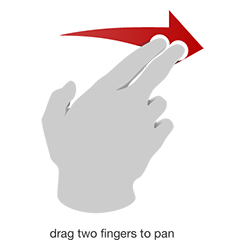 Human-iOS_Hand-Gestures_225x250_Pan.jpg