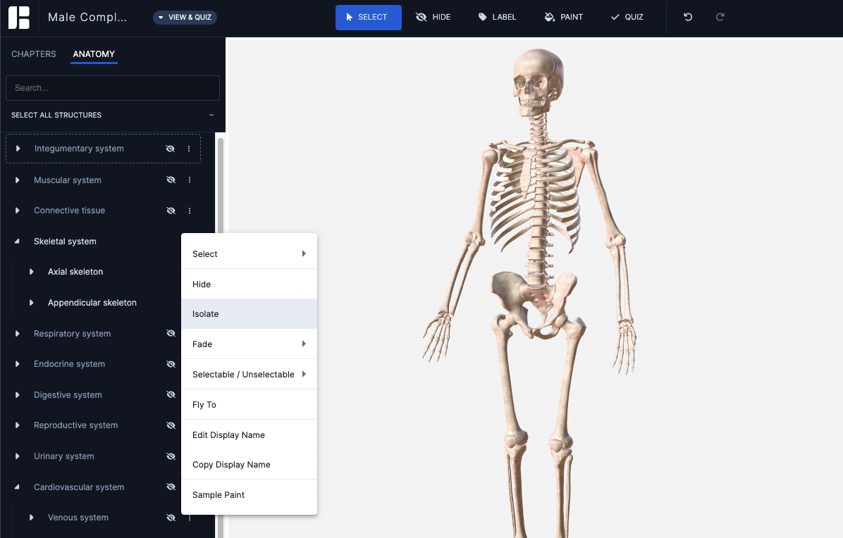 anatomy tree_hide_sep23.png