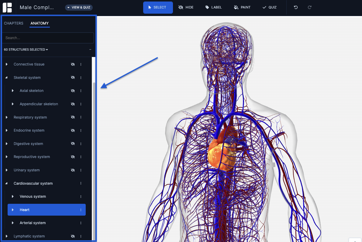 anatomy tree_header_sep23.png