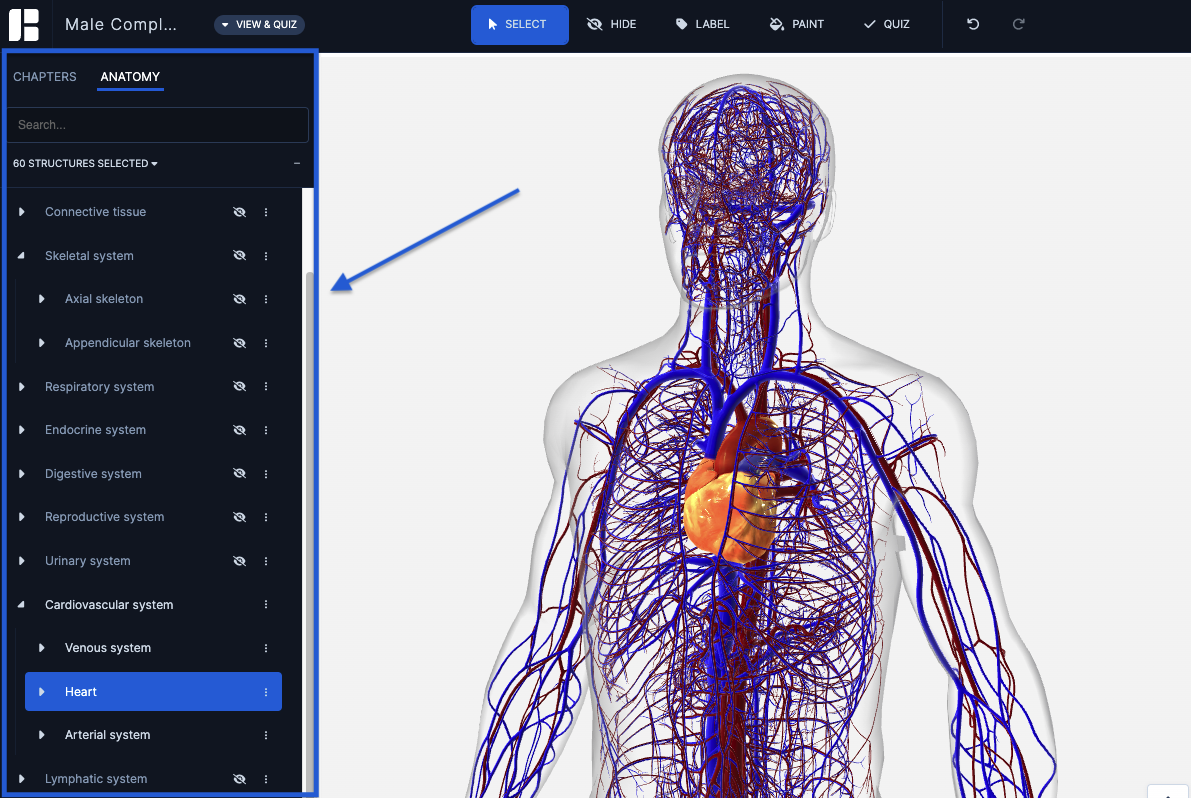 How Do Websites Function Like A Human Body?, Goldlilys Media