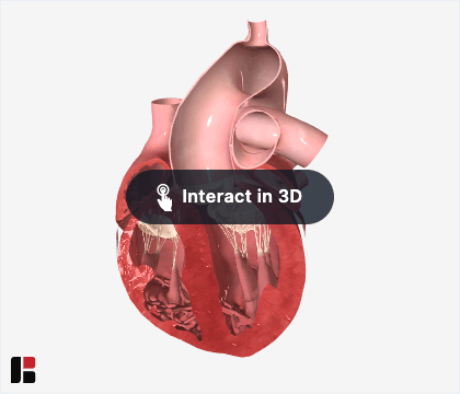 3D interaction prompt_button.gif