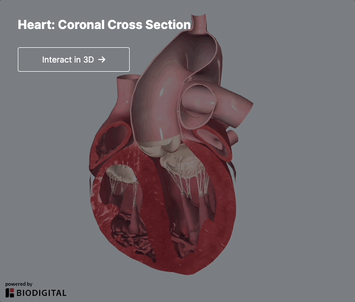 3D interaction prompt_summary.gif