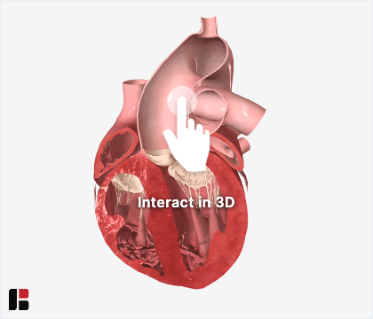 3D interaction prompt_hand.gif