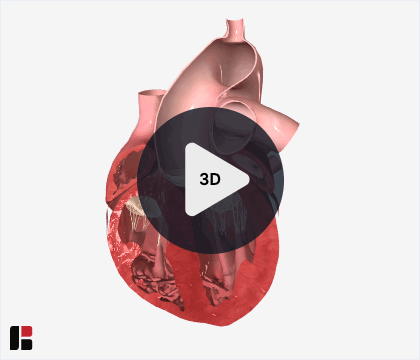 3D interaction prompt_play button.gif
