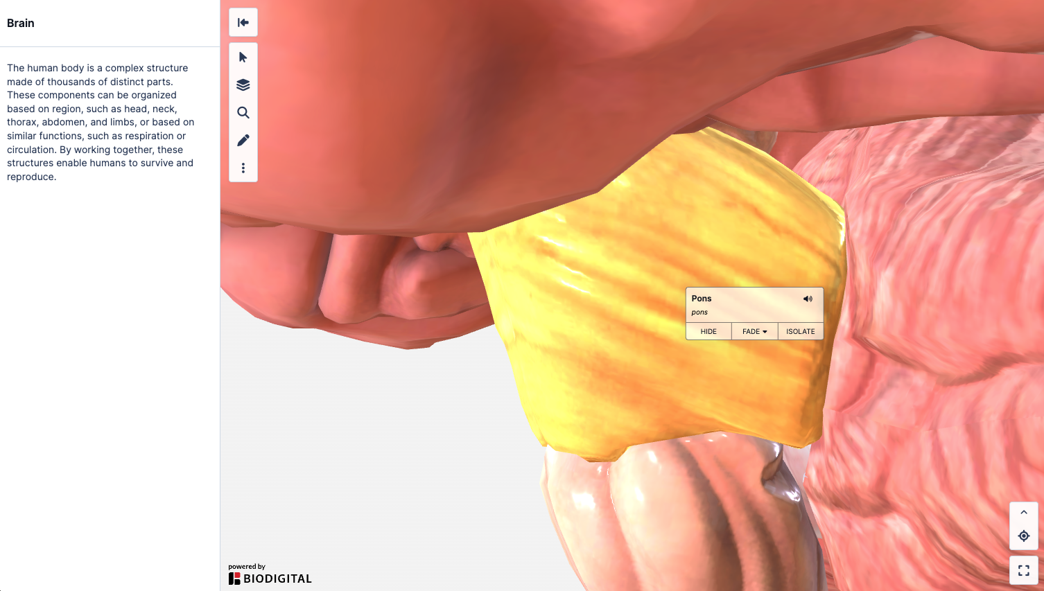 double click structure_jan24.png