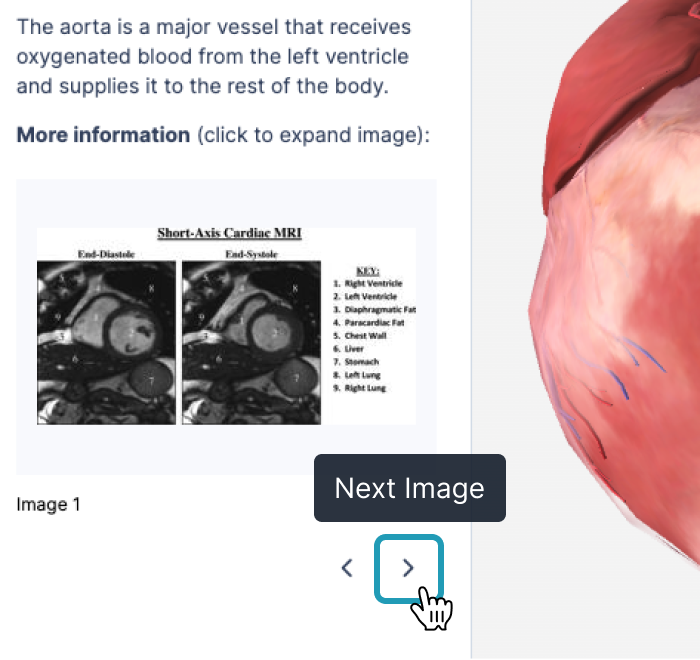 chapter description_multiple images_apr24.png
