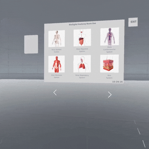 Anatomy Models_apr24.gif
