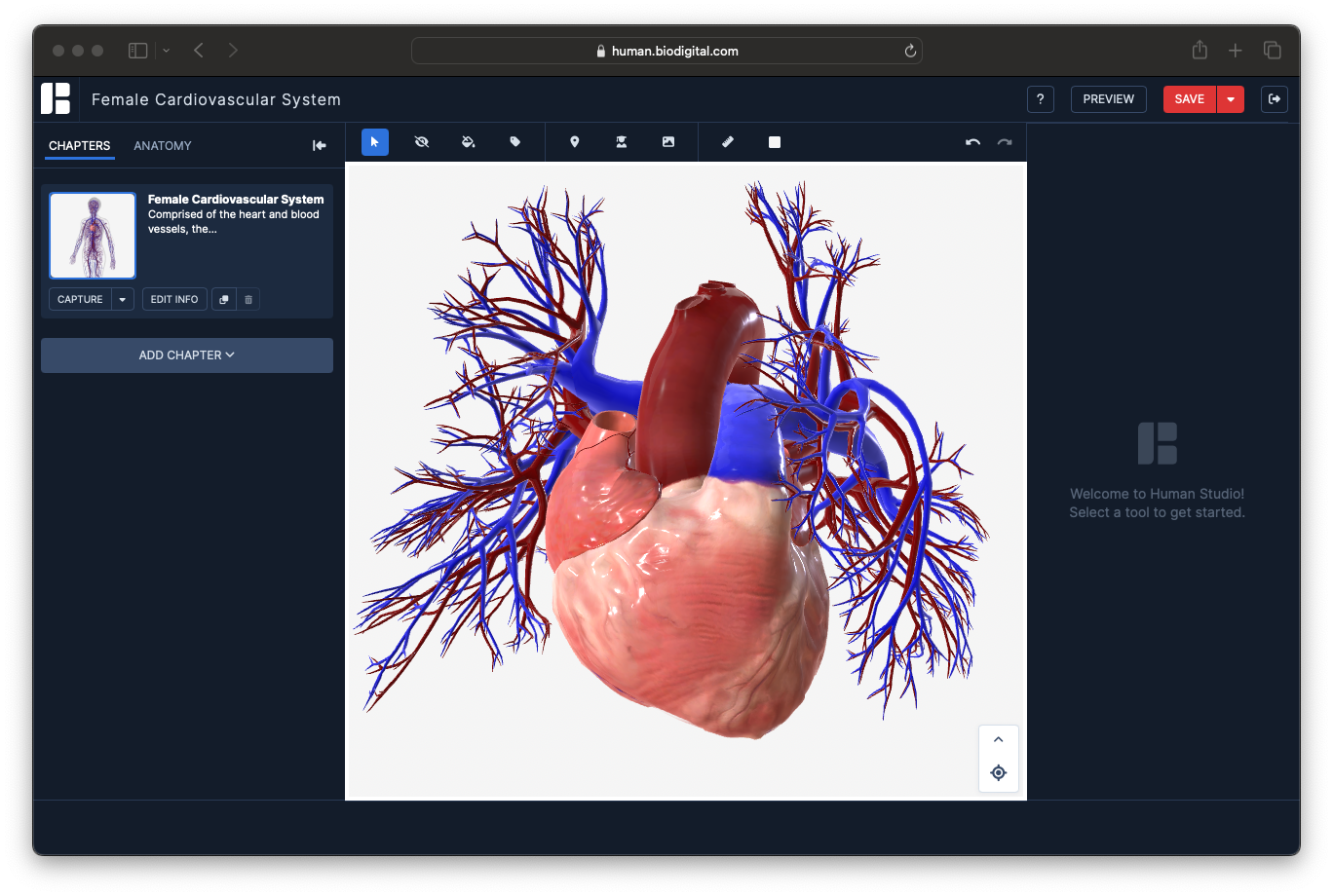 cardiovascular system_studio_position not updated_may24.png