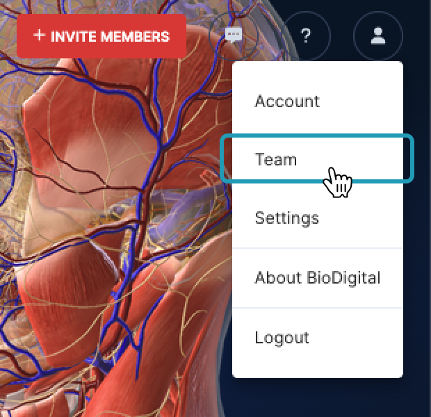 menu_team page_may24.png