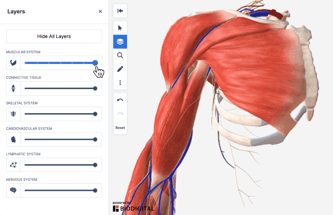 layers tool small.gif