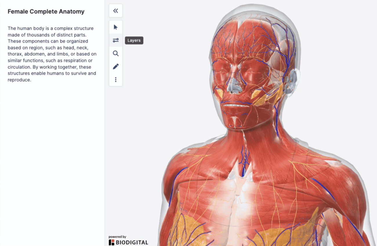 layers_skin options_sep24.gif