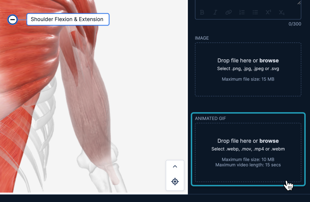 gifs_labels_upload block_jan25.png