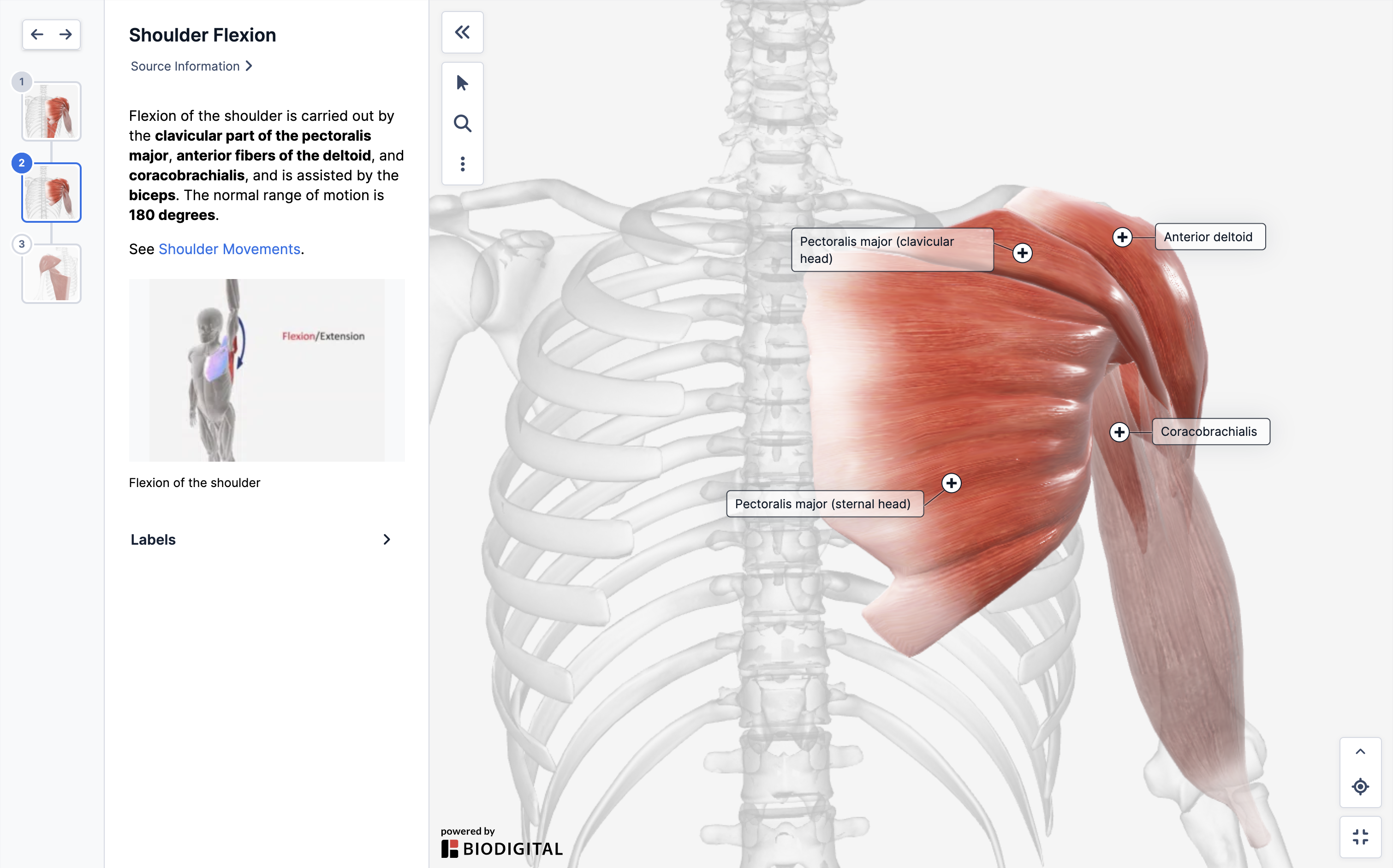 gifs_in info panel_column_jan25.png