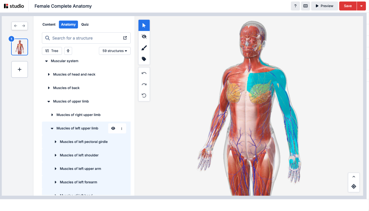 anatomy_tree_studio_july25 (1).png