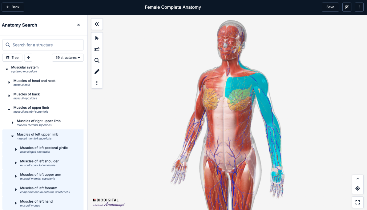 anatomy_tree_view_july25.png