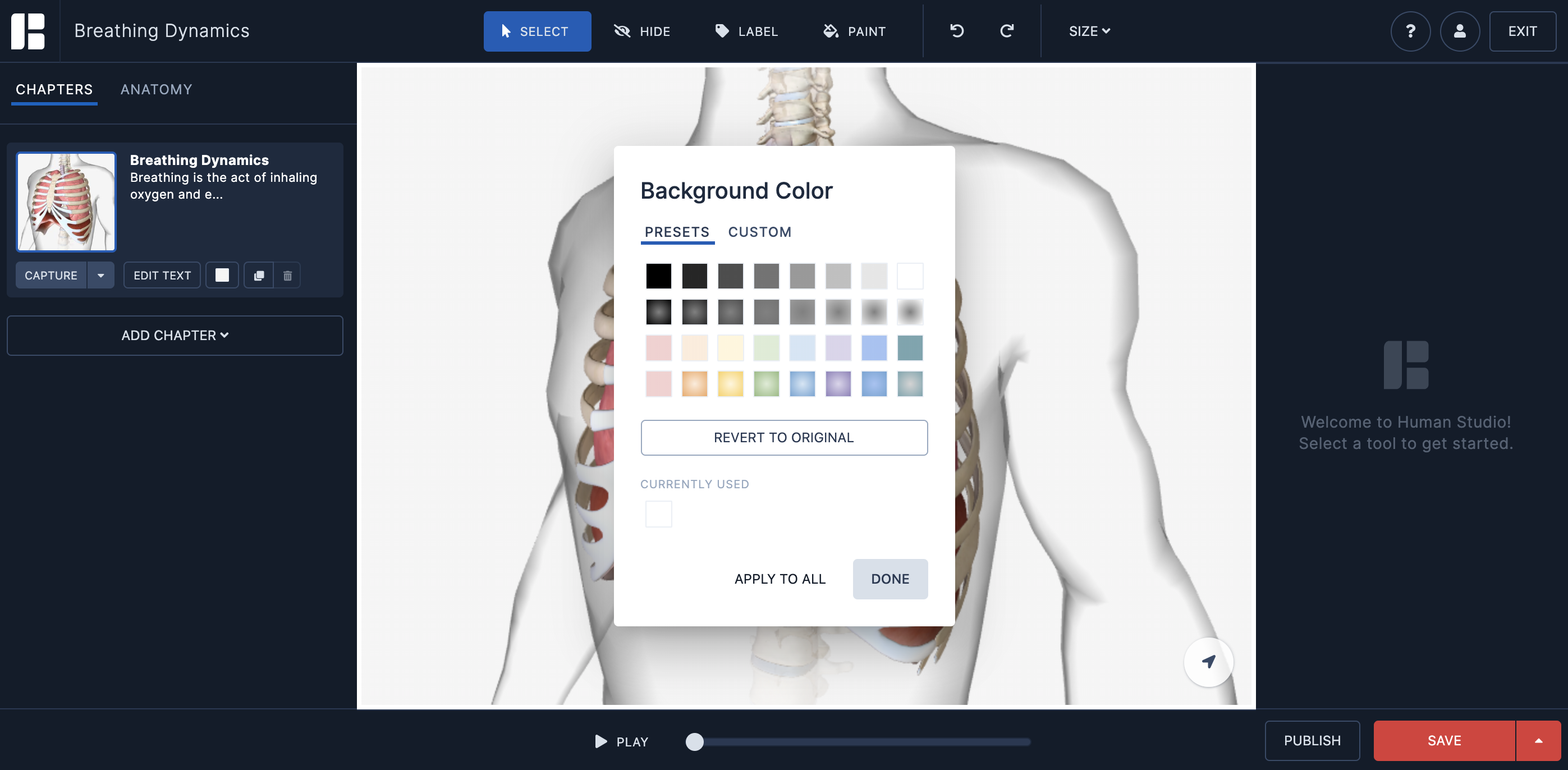 Change my model's background color – Human Support