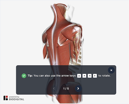 viewer-tutorial_1_tip.png