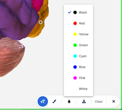 Text_in_Draw_tool_change_color_jan21.png