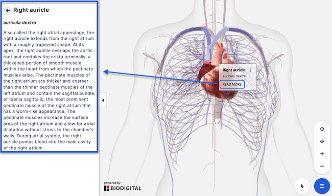 anatomy_description_jan22.png
