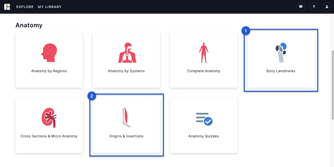 explore_new_anatomy_categories_v2_jan22.png